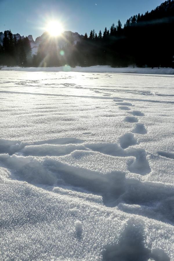 Rifugio Lago Nambino มาดอนนาดีกัมปิโญ ภายนอก รูปภาพ